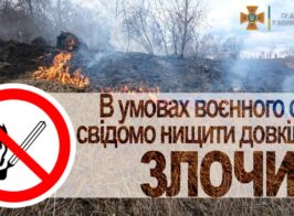 зображення Viber 2022 03 21 11 19 02 884