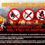 изображение 2022 05 17 112130357