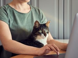 Workfromhome